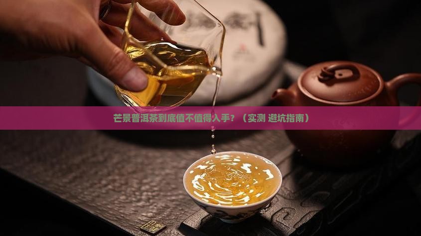 芒景普洱茶怎么样