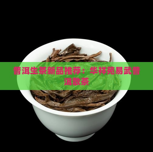 华祥苑易武普洱散茶