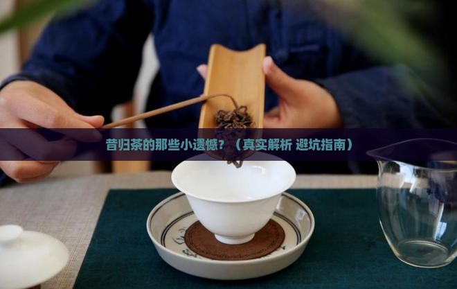 昔归茶不足之处