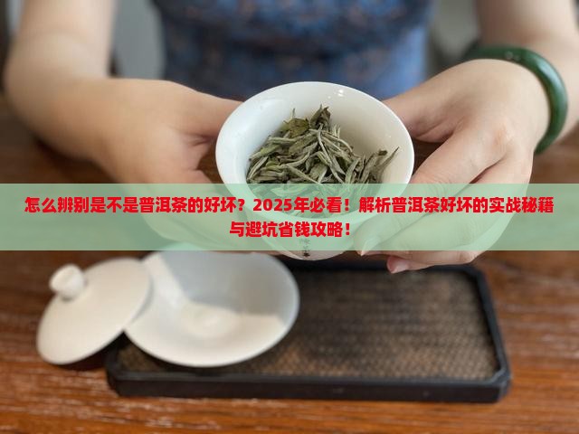 怎么辨别是不是普洱茶的好坏