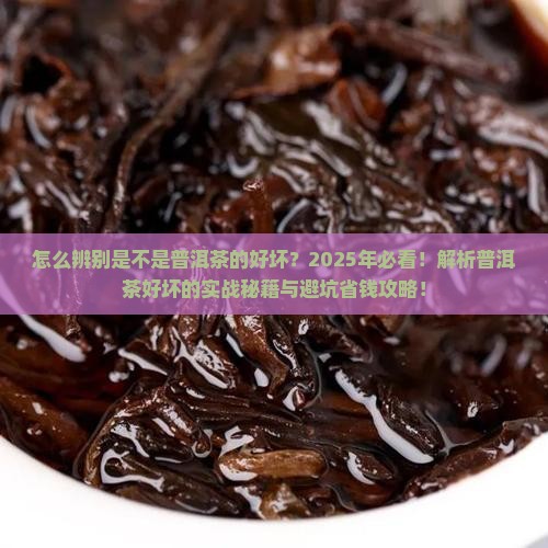怎么辨别是不是普洱茶的好坏