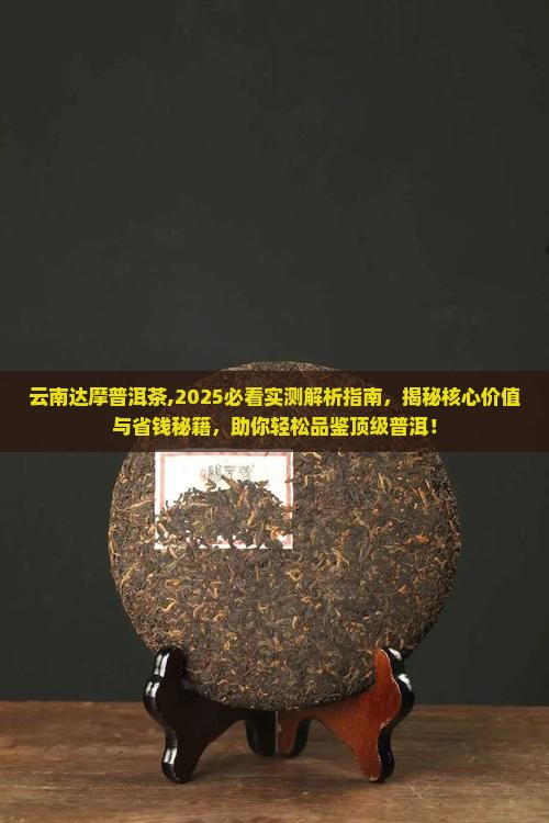 云南达摩普洱茶