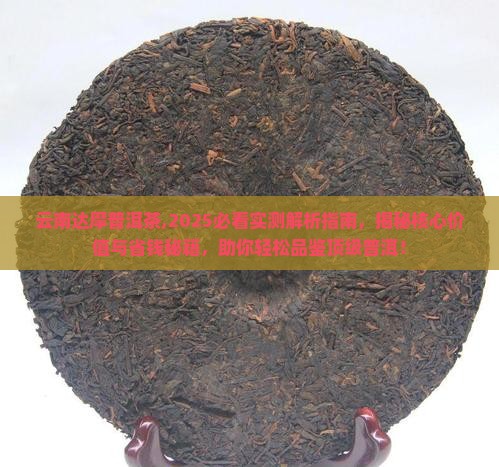 云南达摩普洱茶
