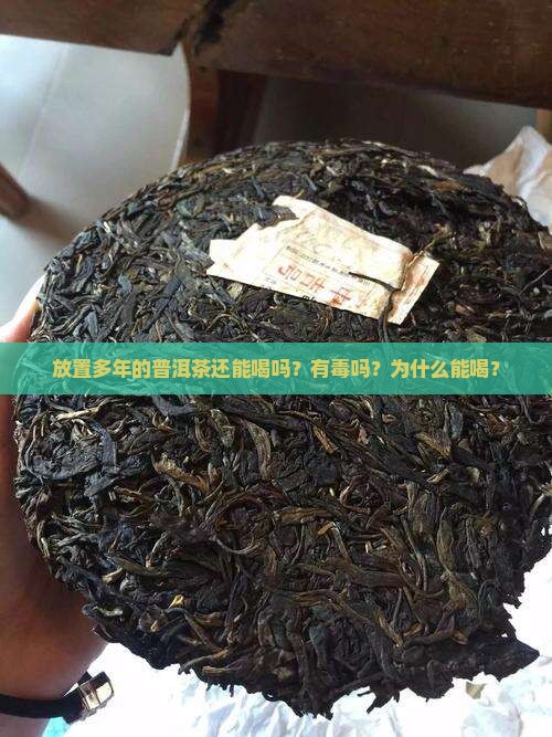 放置多年的普洱茶还能喝吗