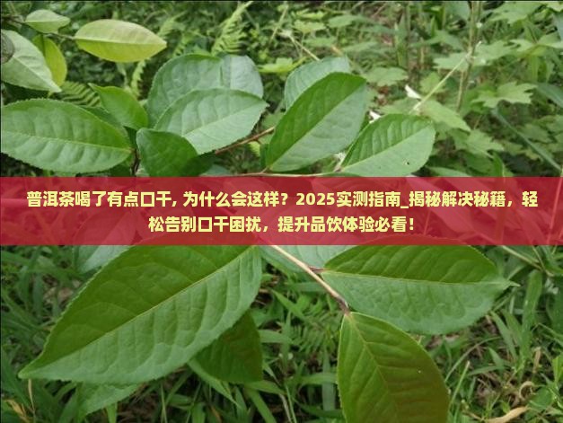 普洱茶喝了有点口干