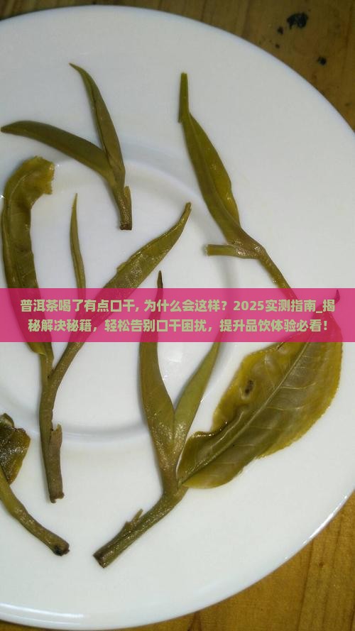 普洱茶喝了有点口干