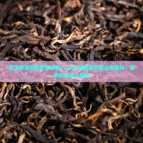 普洱茶泡好的有絮状物