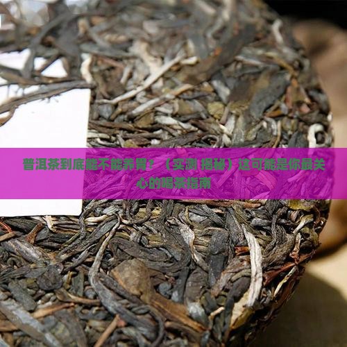 普洱茶真的可以养胃