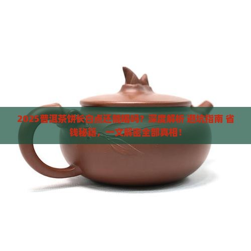 普洱茶饼长白点还能喝吗