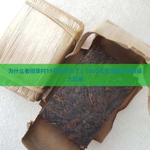 老班章村19号茶农