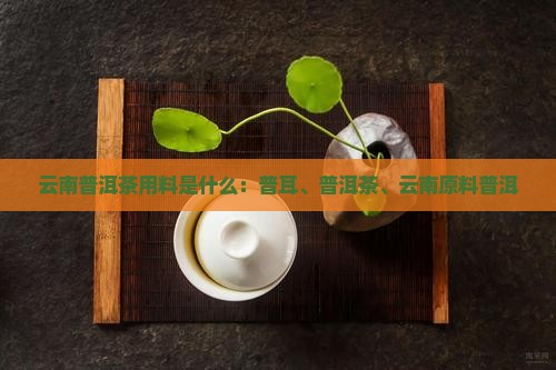 云南普洱茶用料是什么