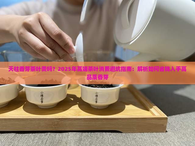 天柱香芽茶叶贵吗