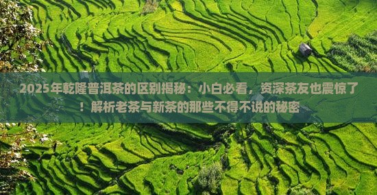 乾隆普洱茶的区别 乾隆普洱茶的区别