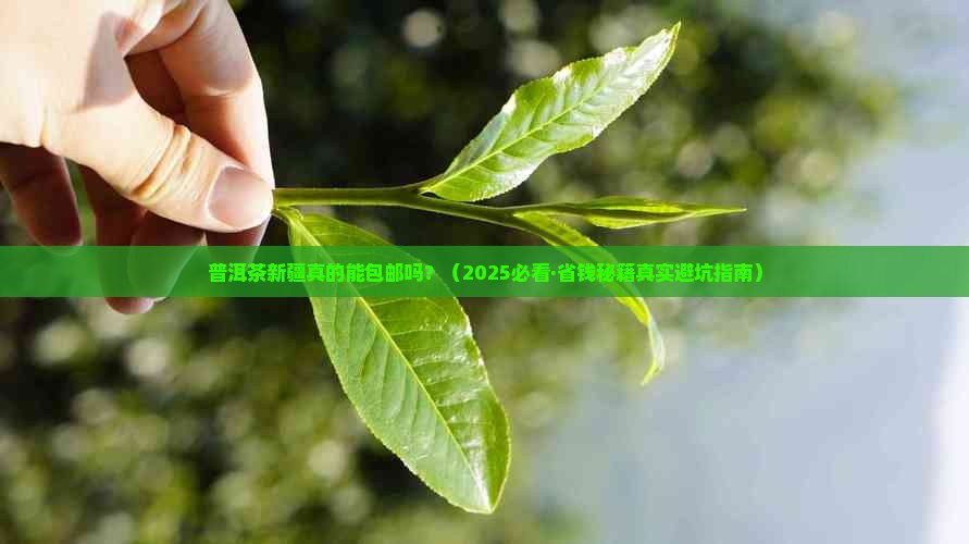 普洱茶新疆包邮吗现在在哪