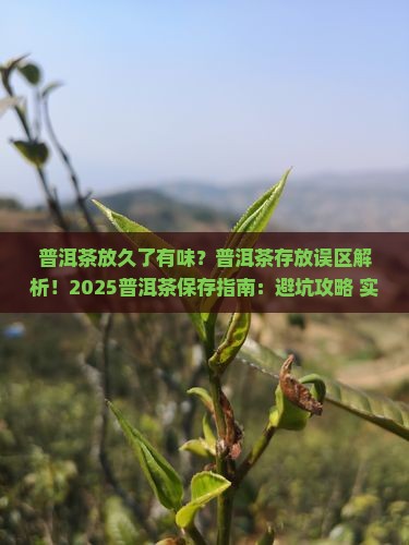 普洱茶放久了有味