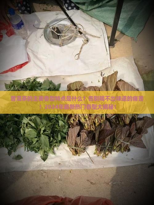 普洱茶的主要香型特点是什么