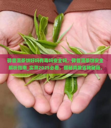 碎普洱茶饼好吗有毒吗安全吗