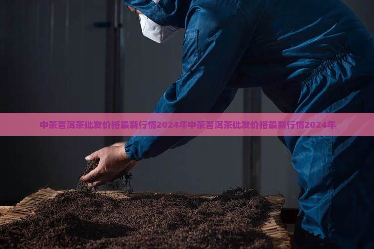 中茶普洱茶批发价格