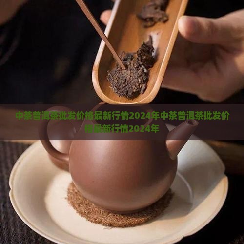 中茶普洱茶批发价格