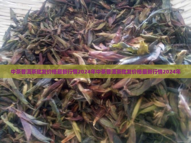 中茶普洱茶批发价格