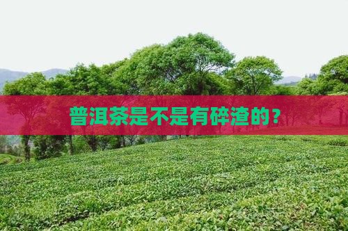 普洱茶是不是有碎渣