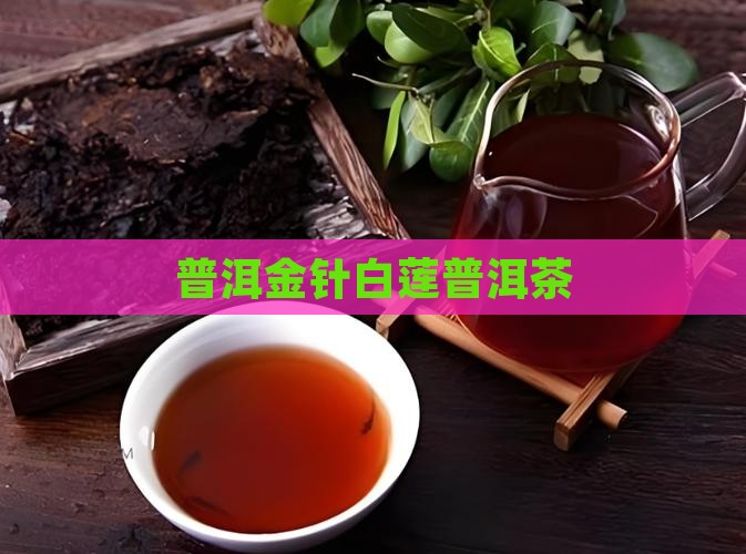 金叶白莲普洱茶