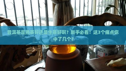 普洱茶是熟茶好还是生茶好啊