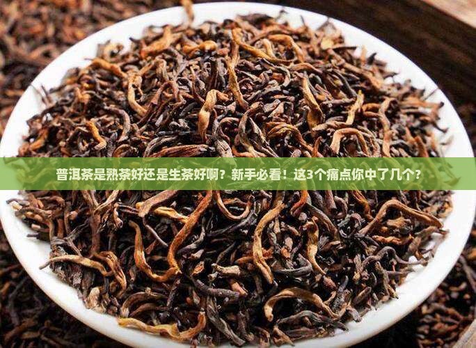 普洱茶是熟茶好还是生茶好啊