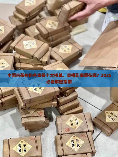 中国古茶树排名青茶十大排名