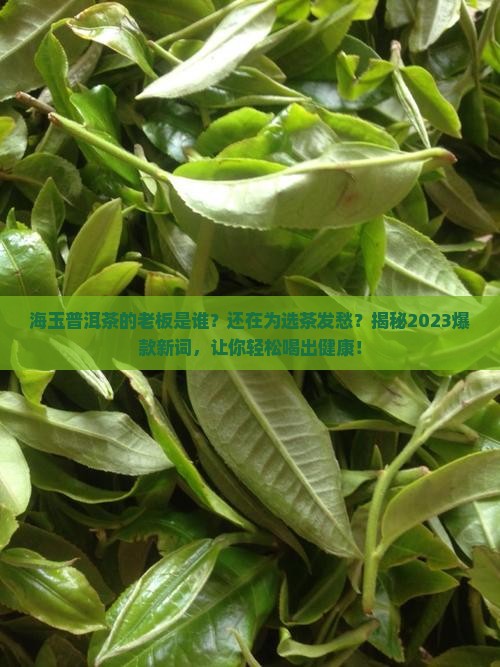 海玉普洱茶的老板