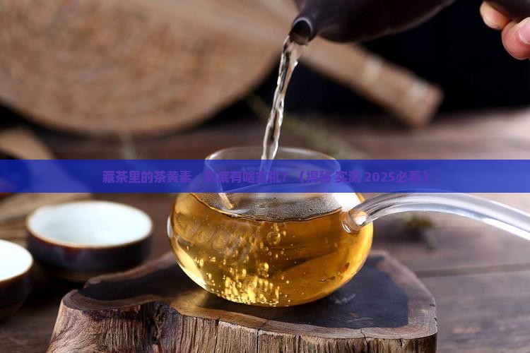 藏茶中的茶黄素