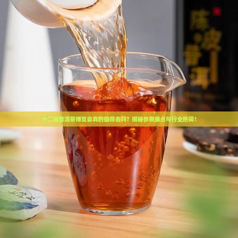 十二届普洱茶博览会