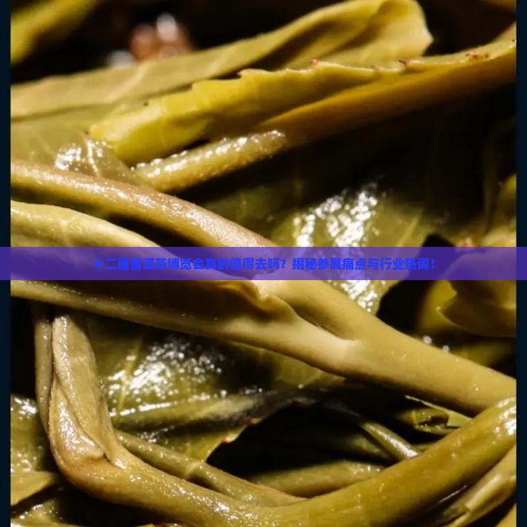十二届普洱茶博览会