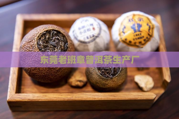 东莞老班章生产厂
