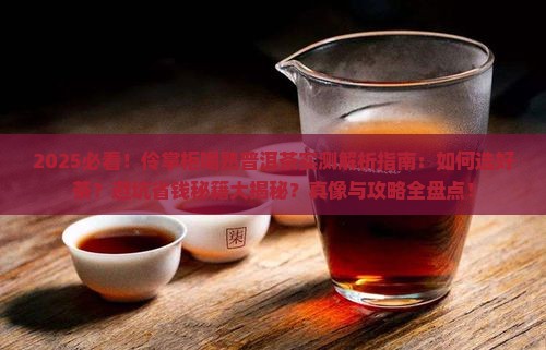 伶掌柜喝熟普洱茶