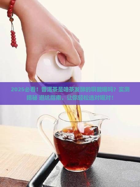普洱茶是啥茶发酵的啊能喝吗