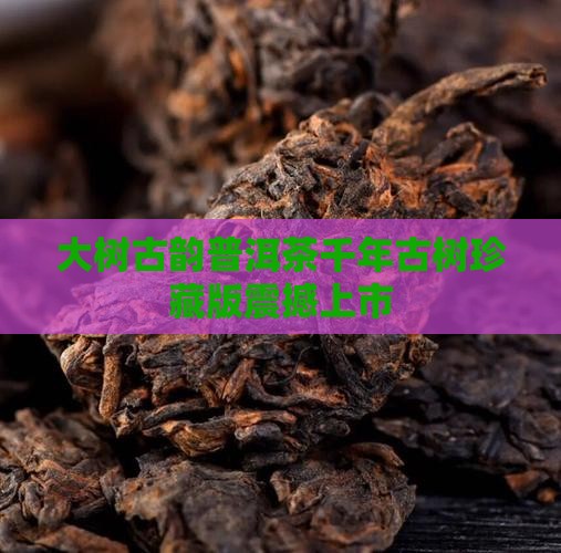 大树古韵普洱茶