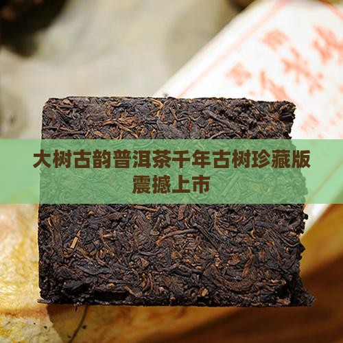 大树古韵普洱茶