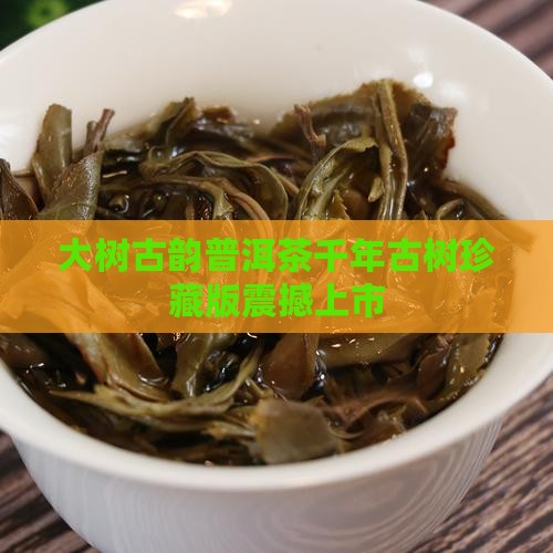 大树古韵普洱茶
