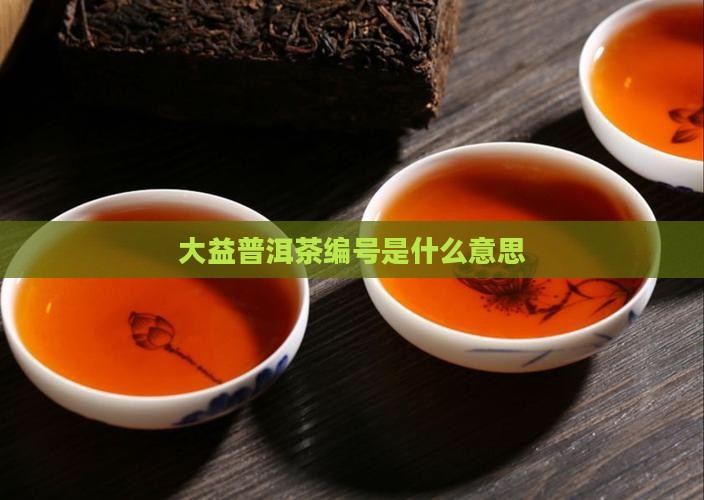 大益普洱茶编号是什么意思