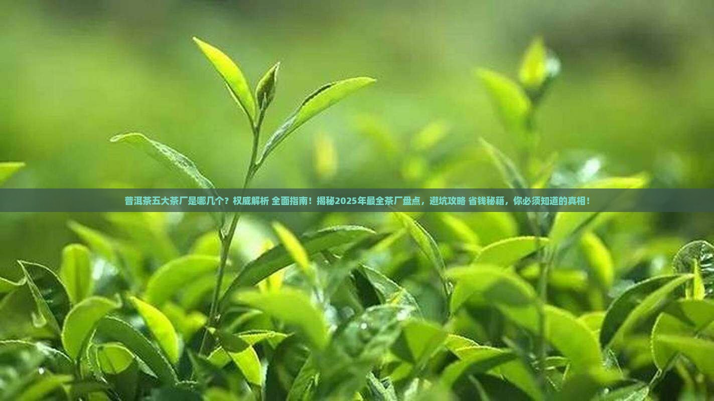 普洱茶五大茶厂是哪几个