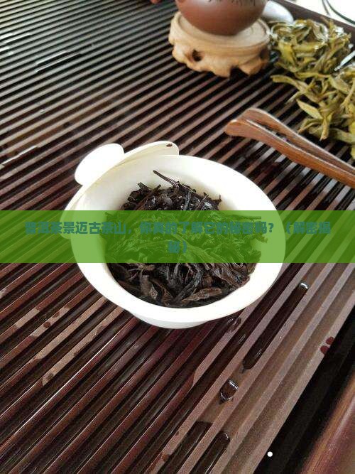 普洱茶景迈古茶山