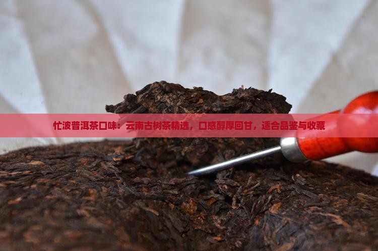 忙波普洱茶口味