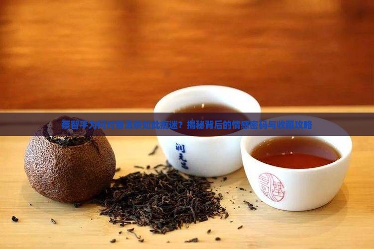 蔡智平和普洱茶的不解之缘