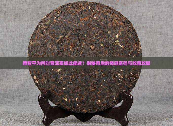 蔡智平和普洱茶的不解之缘
