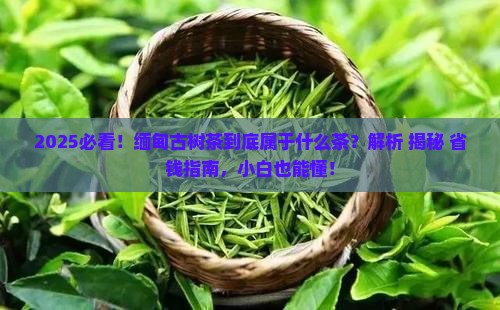 缅甸古树茶属于什么茶