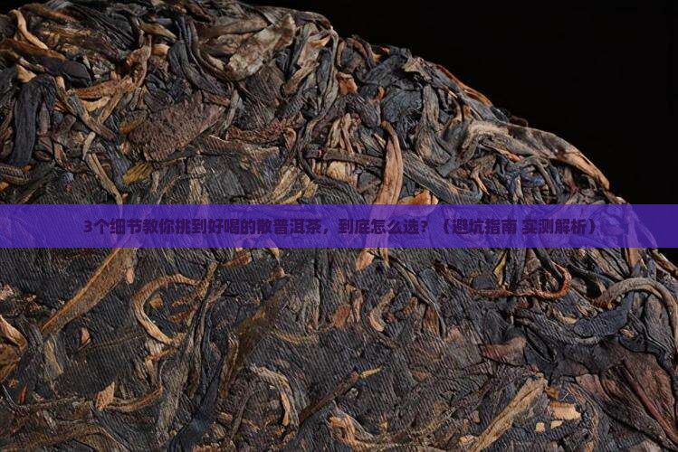 散的普洱茶什么样的好