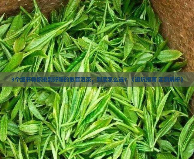 散的普洱茶什么样的好