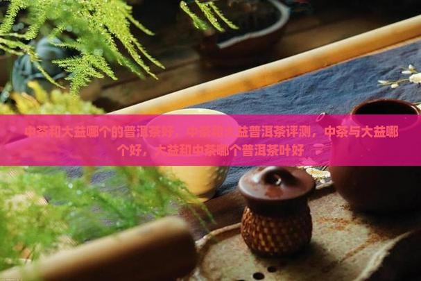 中茶和大益哪个的普洱茶好