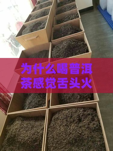 喝普洱茶感觉舌头火烫